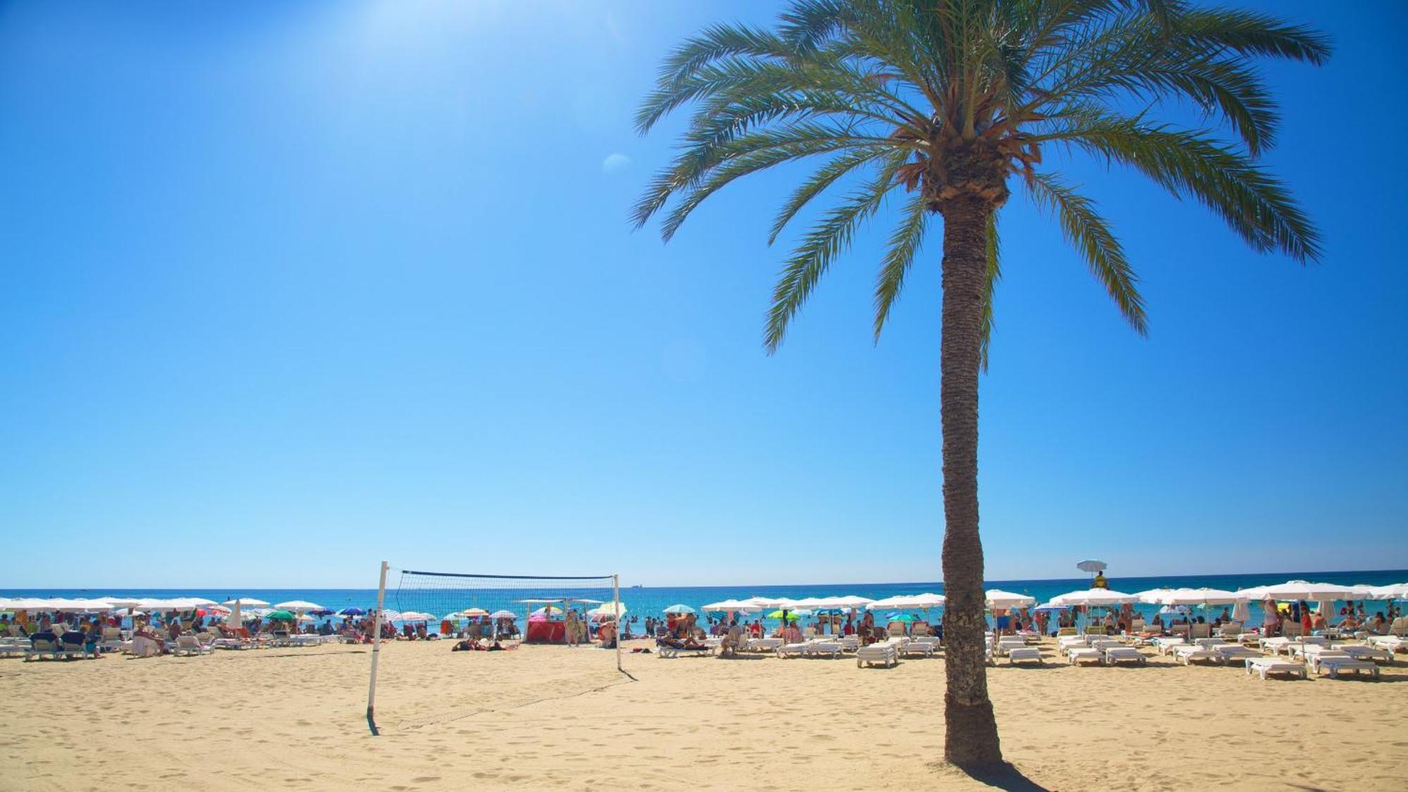 Hb Apartments - Mercado Central - Rambla Alicante - La Suite De La Playa Zewnętrze zdjęcie